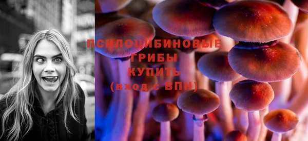 прущая мука Лабытнанги