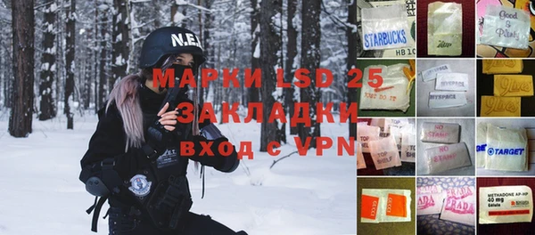 стафф Ладушкин
